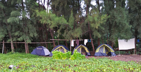 krakatau camping