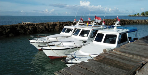 diving, snorkeling, fishing