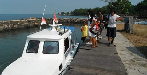 diving, snorkeling, fishing