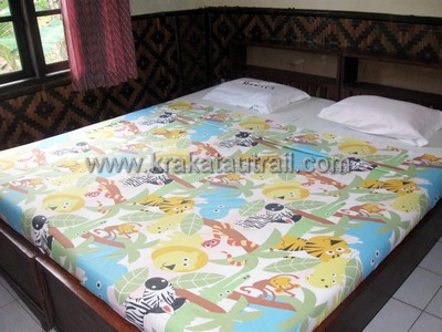 Type C (Single Room)